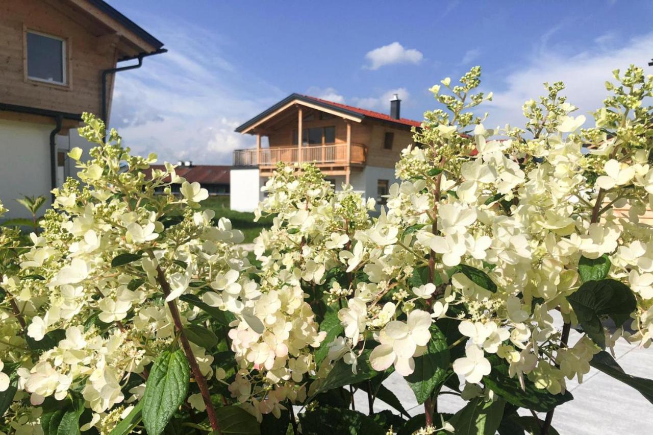 Bergchalet Falkenstein, انزل المظهر الخارجي الصورة
