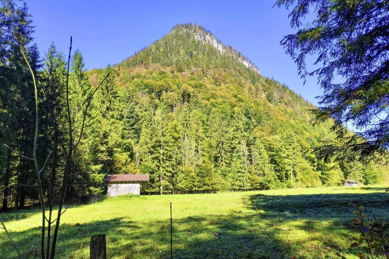 Bergchalet Falkenstein, انزل المظهر الخارجي الصورة